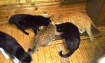 100810_1751~01.jpg