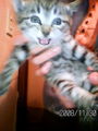 1013343170_248s.jpg