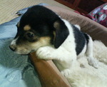 200806281916000.jpg