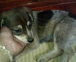 200806281930000.jpg