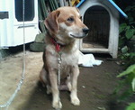200806301815000.jpg