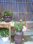 201006151543000.jpg