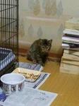 2011-10-09 21.57.35.jpg