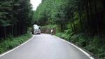 mini_100805_11340001.jpg