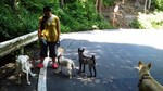 mini_100807_11560001.jpg
