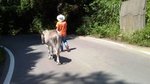 mini_100807_1245.jpg