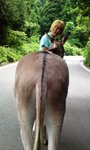 mini_100808_12540001.jpg