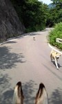 mini_100816_1152.jpg