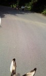 mini_100816_1153.jpg