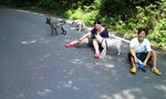 mini_100816_11530001.jpg