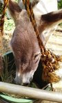 mini_100820_1319.jpg