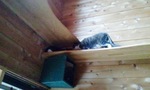 040.jpg