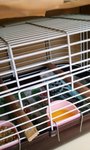 040.jpg