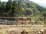 050901 020.jpg