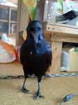 060.jpg
