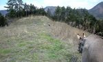 090406_1004~0001.jpg