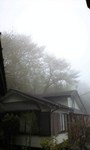 090417_1454~0001.jpg
