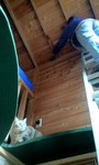 090605_1041~0001.jpg