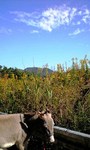 091022_0940~0001.jpg