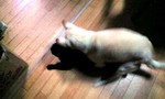 091031_1935~0001.jpg