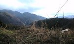 100319_0924~0002.jpg