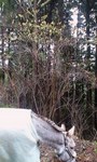 100326_1116~0001.jpg
