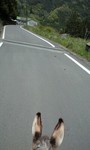 100505_1201~0001.jpg