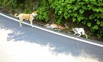 100612_1003~0001.jpg