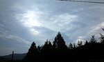 100620_1715~0001.jpg