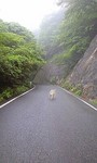 100629_0843~0001.jpg