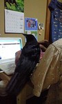 100630_2313~0002.jpg
