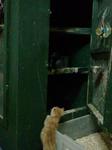 2011-06-21 21.58.09.jpg