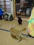 2011-07-28 21.39.34.jpg