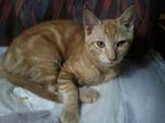 2011-08-23 21.29.26.jpg