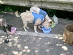 2012-07-31 09.44.46.jpg