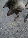 2012-08-06 06.31.29.jpg