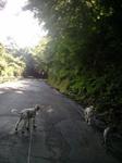 2012-08-07 07.39.54.jpg