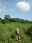 2012-08-09 08.59.08.jpg