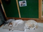 2012-08-09 22.22.22.jpg