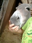 2012-08-16 10.09.25.jpg