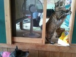 2012-08-16 10.46.14.jpg