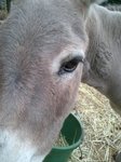 2012-08-18 07.38.53.jpg