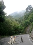 2012-08-18 08.31.14.jpg