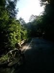 2012-08-25 07.18.53.jpg