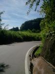 2012-08-25 08.42.22.jpg