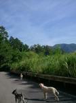 2012-08-30 08.20.45.jpg