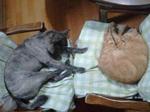 2012-08-30 20.54.12.jpg