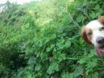 2012-08-31 08.25.52.jpg