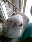2012-09-01 08.37.24.jpg