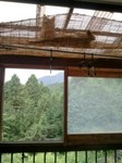 2012-09-01 09.30.57.jpg
